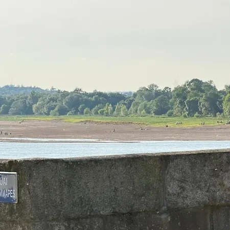 Les Oiseaux De Loire *